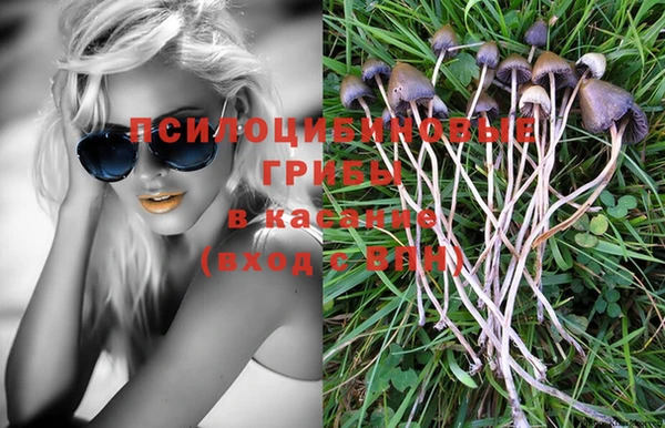 дурь Верхний Тагил
