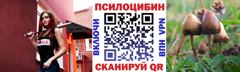 дарнет шоп Ермолино Галлюциногенные грибы мухоморы