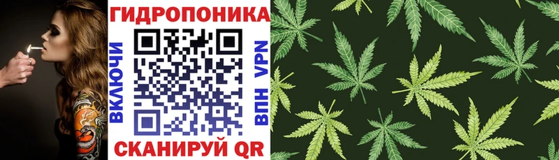 Бошки марихуана Ganja  площадка формула  Ермолино  наркота 